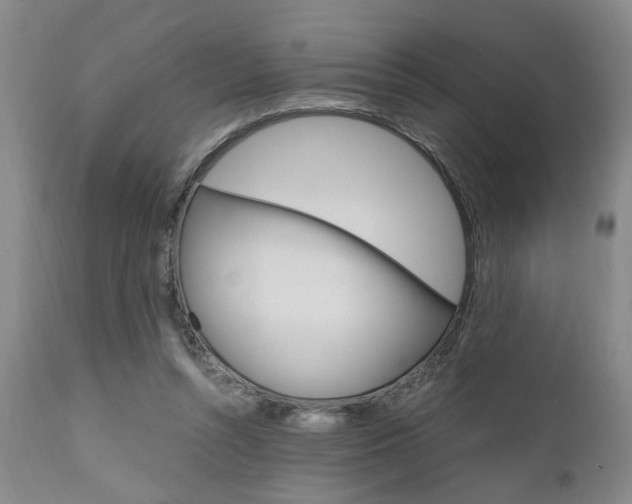 X0000111010352200906191213