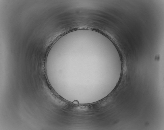 X0000111010353200906191213