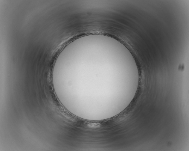 X0000111010355200906191213