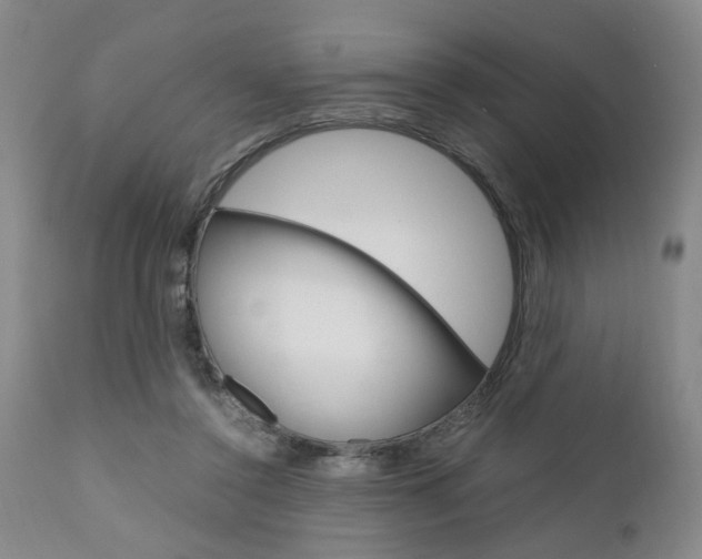 X0000111010356200906191213