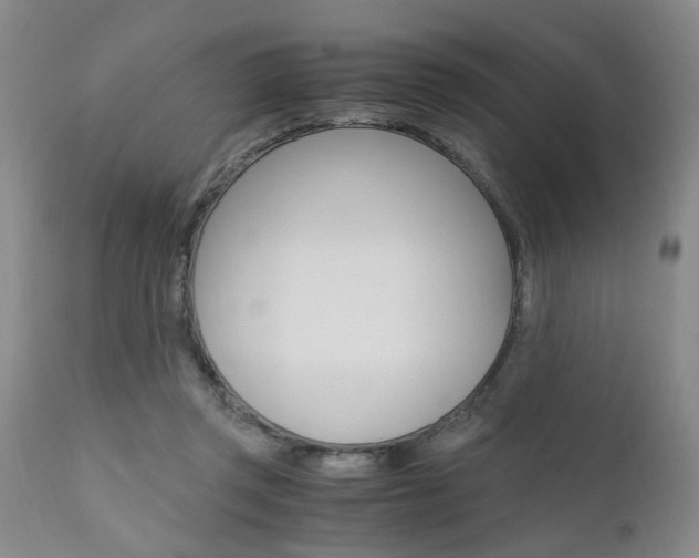 X0000111010357200906191213
