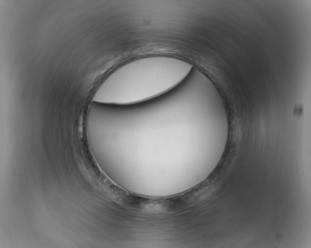 X0000111010358200906191213