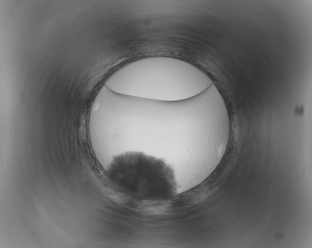 X0000111010359200906191213