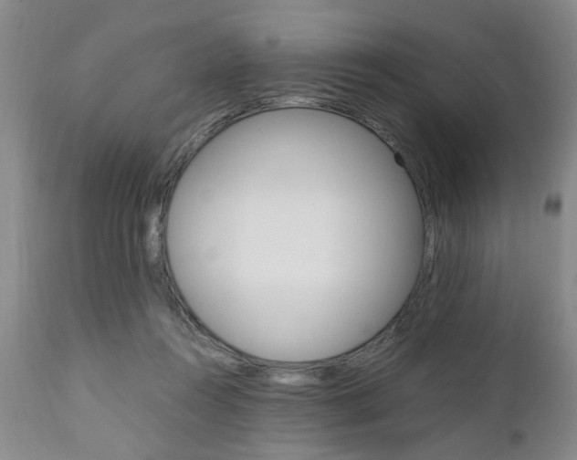 X0000111010360200906191213