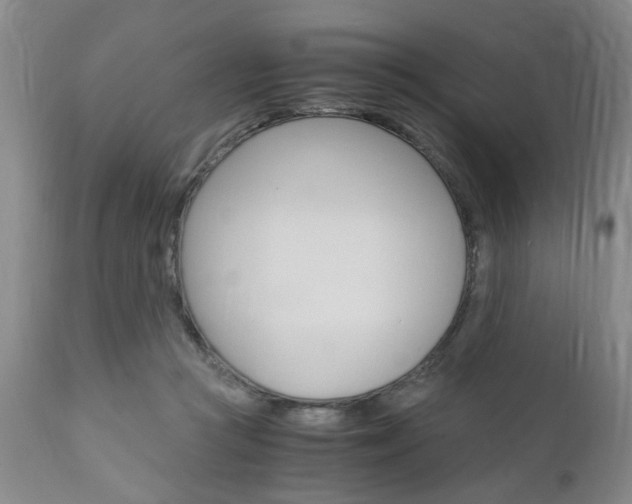X0000111010361200906191213