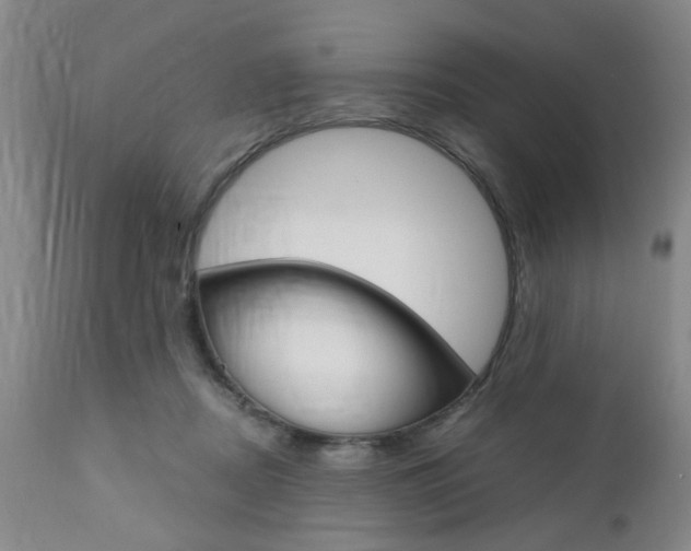 X0000111010362200906191213