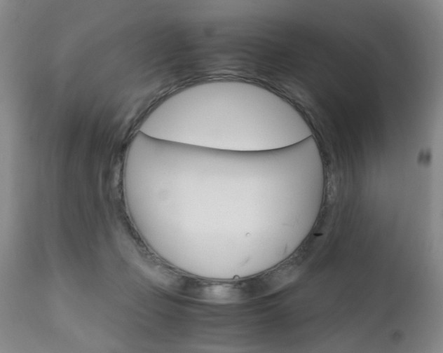 X0000111010365200906191213