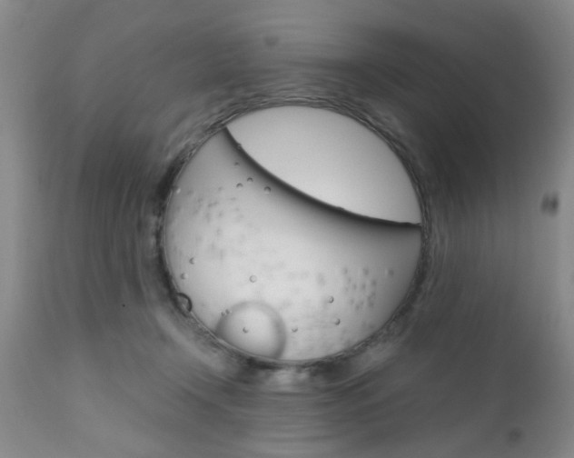 X0000111010366200906191213