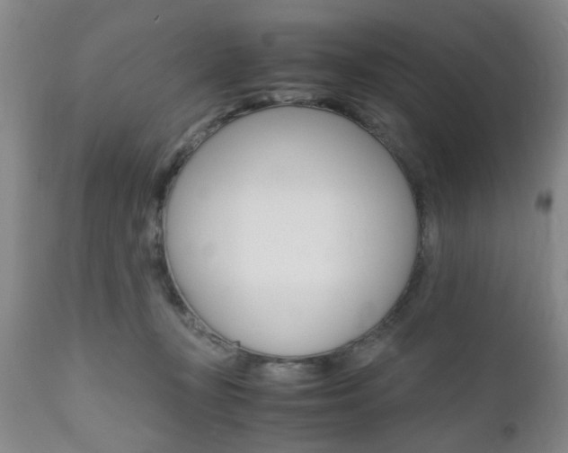 X0000111010367200906191213