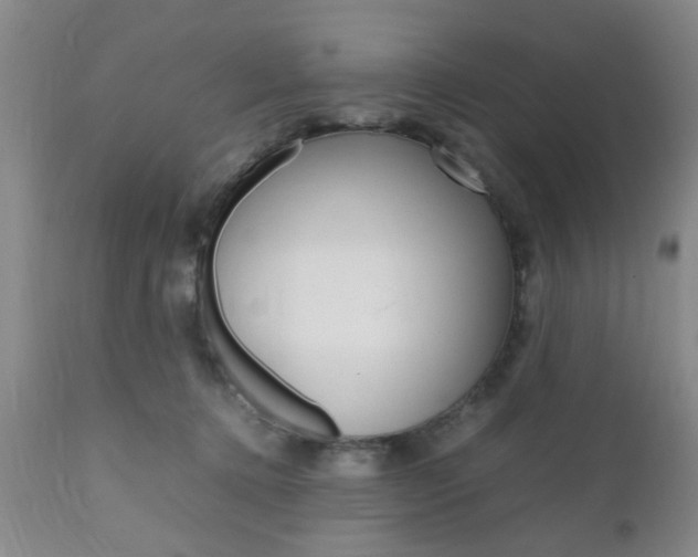 X0000111010368200906191213