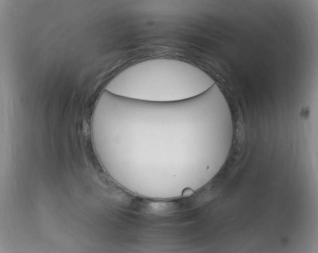 X0000111010371200906191213