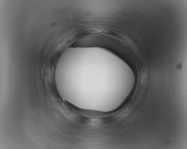 X0000111010376200906191213