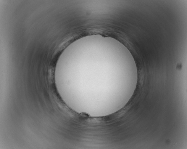 X0000111010378200906191213