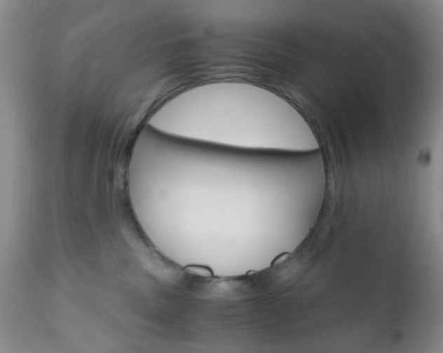 X0000111010379200906191213