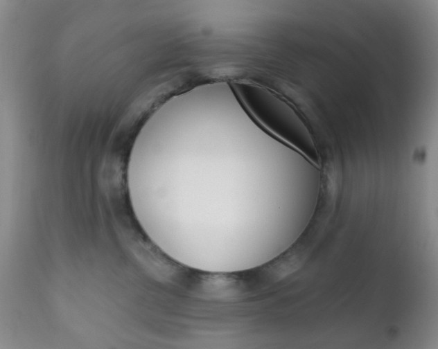X0000111010380200906191213