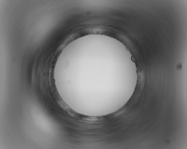X0000111010381200906191213