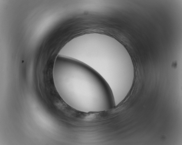 X0000111010382200906191213