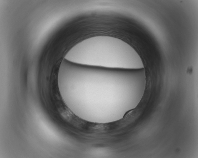 X0000111010383200906191213