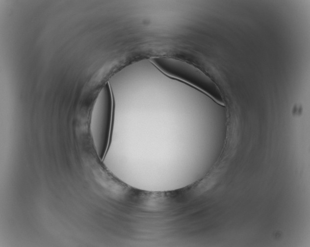 X0000111010384200906191213