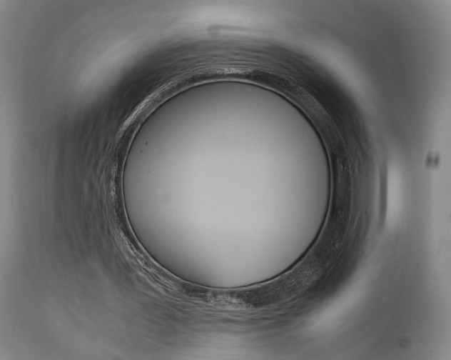 X0000111010387200906191212