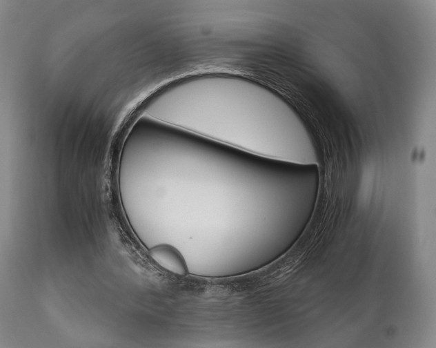 X0000111010388200906191212