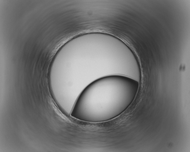 X0000111010389200906191212