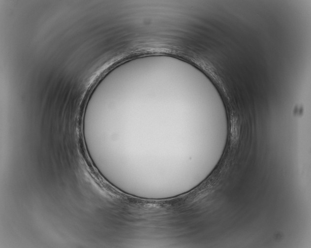 X0000111010390200906191212