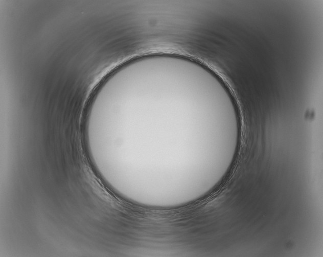 X0000111010391200906191212