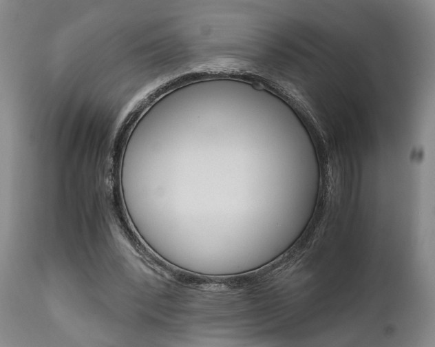 X0000111010392200906191212
