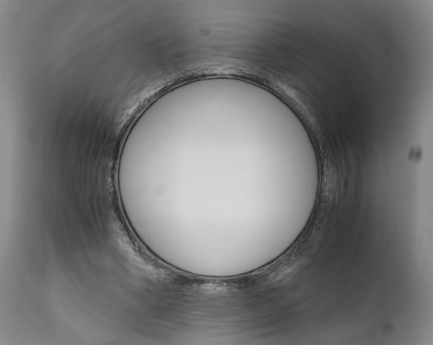 X0000111010394200906191212