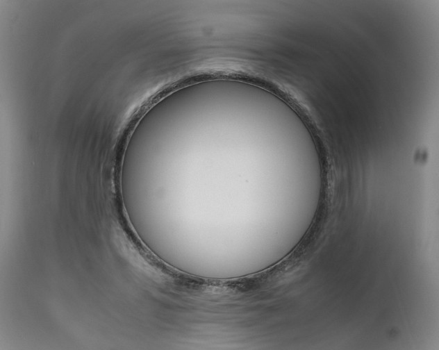X0000111010399200906191212