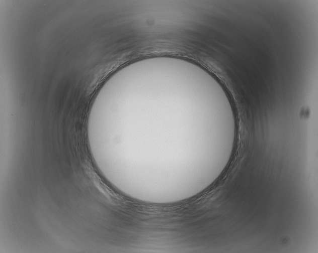 X0000111010401200906191212