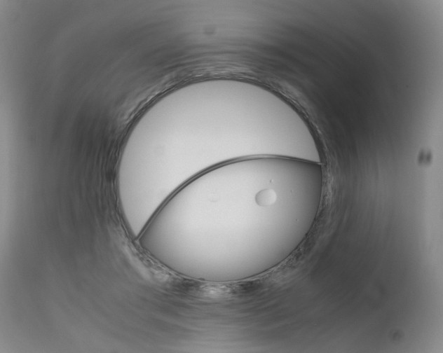 X0000111010405200906191212