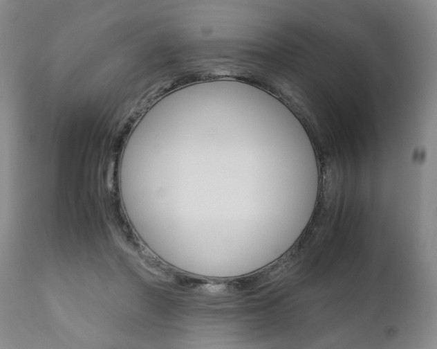 X0000111010406200906191212