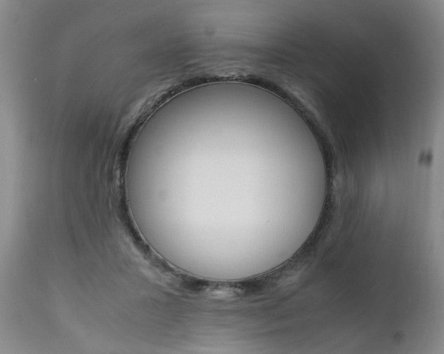 X0000111010407200906191212
