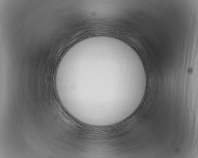 X0000111010409200906191212