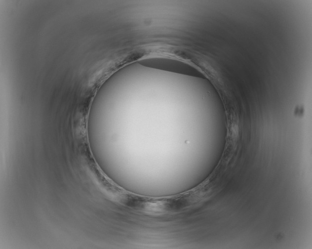 X0000111010411200906191212