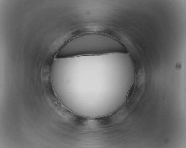 X0000111010413200906191212