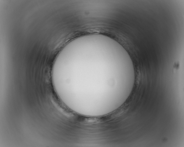 X0000111010414200906191212