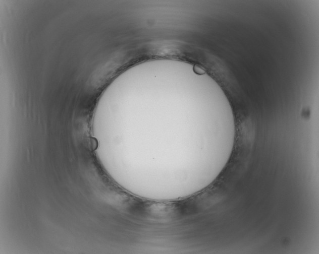 X0000111010415200906191212