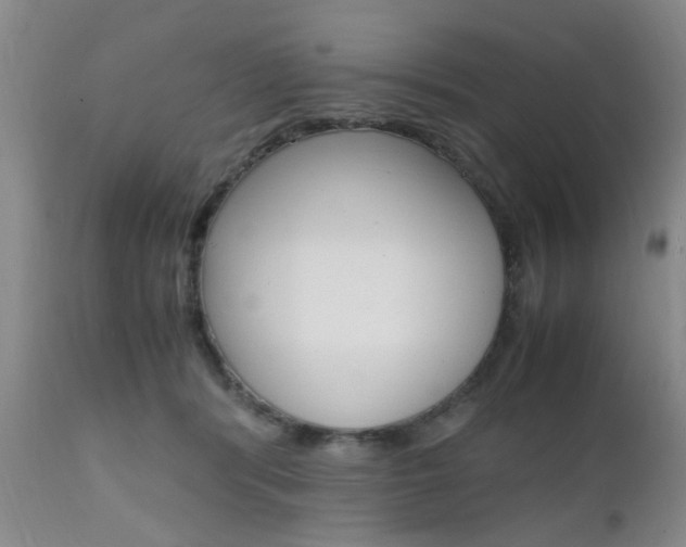 X0000111010416200906191212