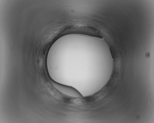 X0000111010417200906191212