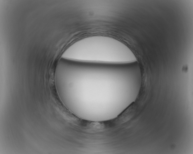 X0000111010421200906191212