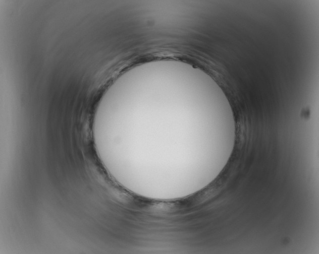 X0000111010422200906191212