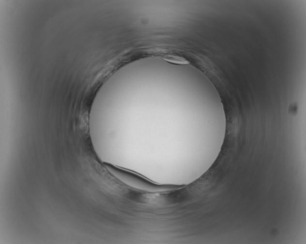 X0000111010425200906191212