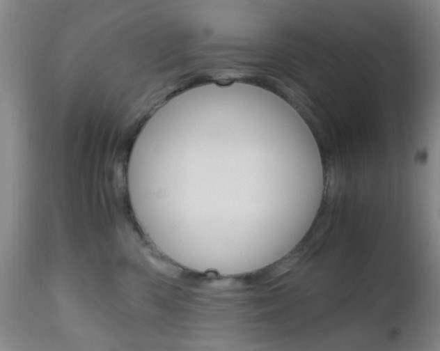 X0000111010426200906191212