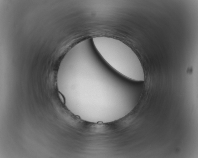 X0000111010428200906191212