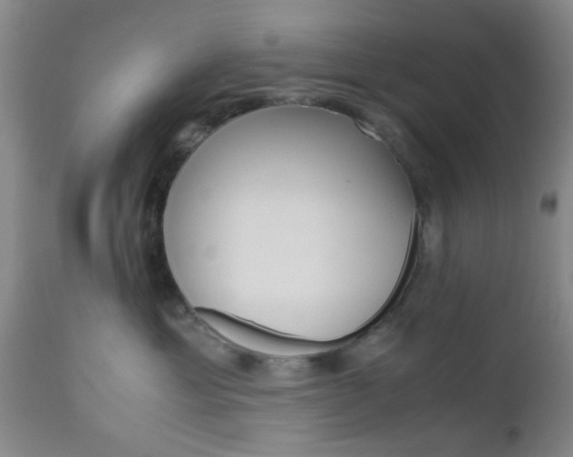 X0000111010429200906191212