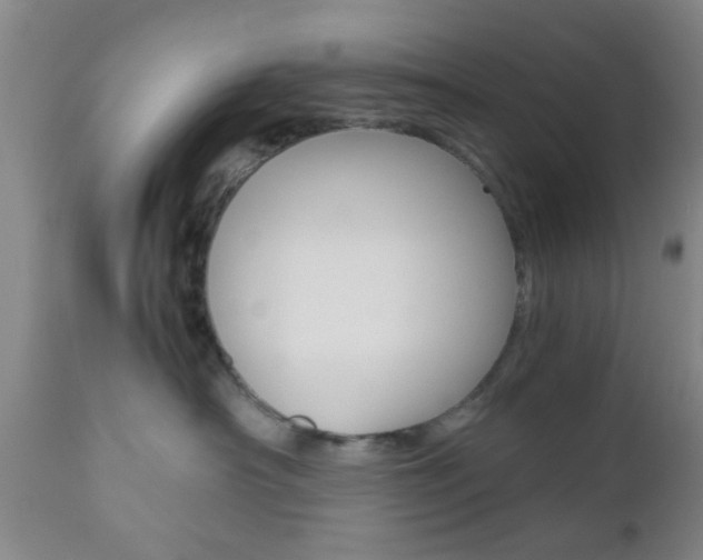 X0000111010430200906191212