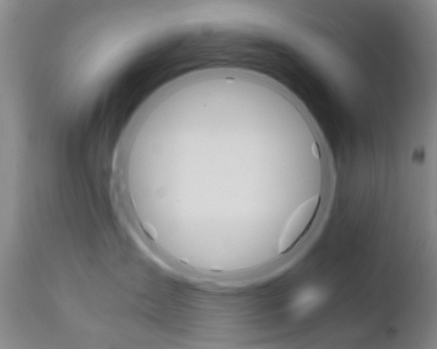 X0000111010431200906191211